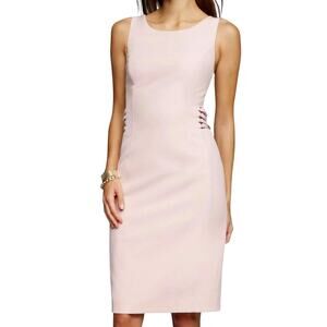 White House Black Market Dress Women 8 Pink Corset Sheath Knee Work NWT $160